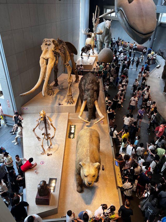 上海自然博物館 | 會呼吸的綠螺,超震撼的自然世界! 上海自然博物館 | 會呼吸的綠螺,超震撼的自然世界!