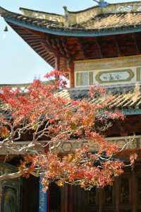 【大理私藏秘境｜穿越回300年前的銀杏書院】