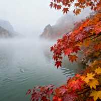 誰說紅葉只有香山？邯鄲這片"小香山"美翻了！