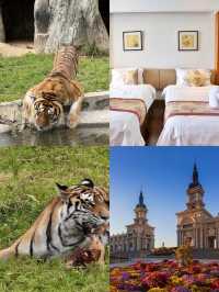 秋日限定哈爾濱-牡丹江-延邊必衝攻略