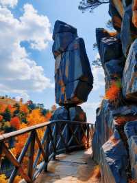 秋日三清山｜在雲海紅葉間邂逅神仙日子