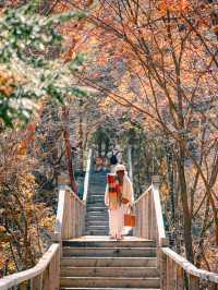 來回9小時，值回票價到喊晒！松坪溝嘅秋天簡直係神級啦