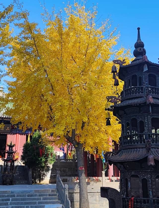 五老峰巔聞仙語,一步一景入畫中 五老峰巔聞仙語,一步一景入畫中