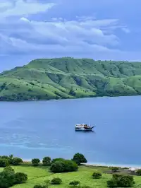 我宣佈科莫多就是人間塞爾達