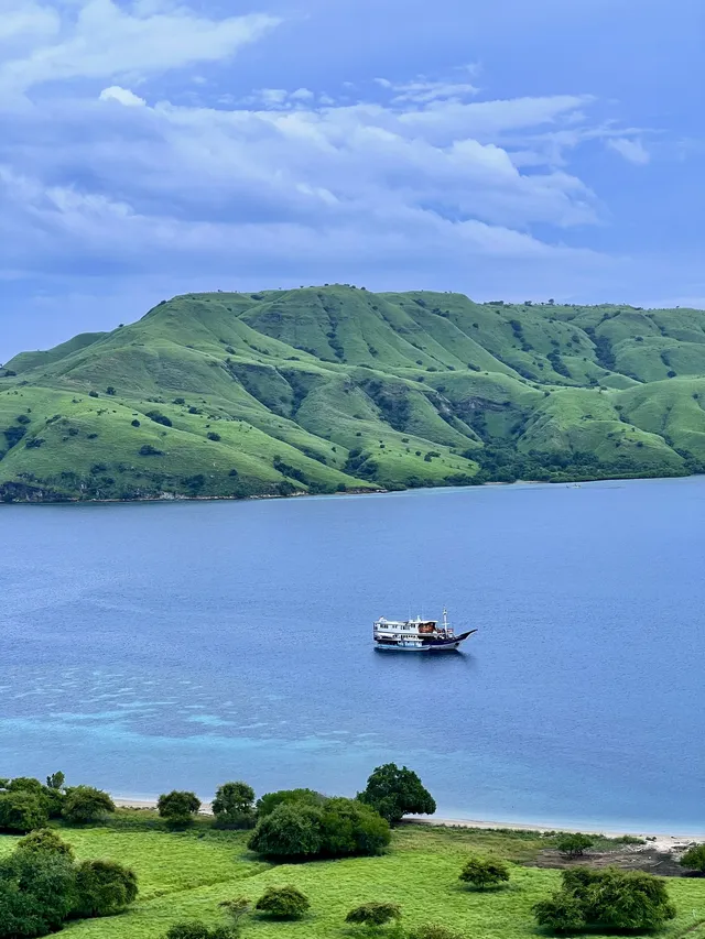 我宣佈科莫多就是人間塞爾達