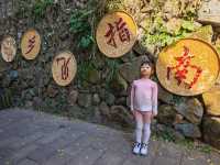 市區1h+達 深秋杭州這個古村落美到失語