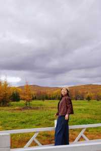 原來中國最冷的地方，竟然不是漠河