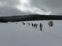 不是北歐，勝似北歐！雪後樺皮嶺