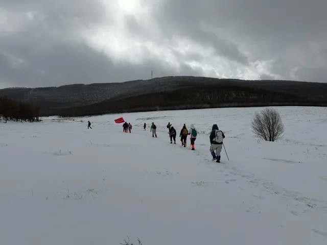 不是北歐，勝似北歐！雪後樺皮嶺