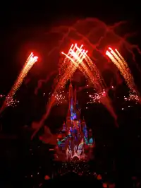 ⁺⁎˚* 𝑯𝑲 𝑫𝒊𝒔𝒏𝒆𝒚 𝒅𝒂𝒚 