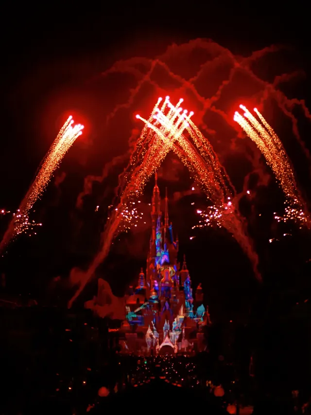 ⁺⁎˚* 𝑯𝑲 𝑫𝒊𝒔𝒏𝒆𝒚 𝒅𝒂𝒚 