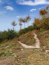 成都2小時直達！免費秘境松林灣，遛娃不費力