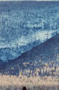 私人小眾滑雪，大興安嶺滑雪才是隱藏頂配！