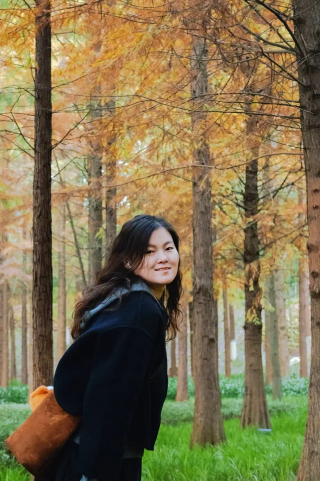 德陽東湖山水杉林紅了！陽光穿透紅杉林絕美