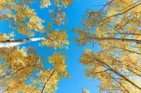 站在中國最北的江灣，擁抱一整片北國的浪漫