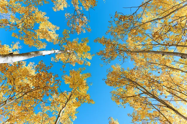 站在中國最北的江灣，擁抱一整片北國的浪漫