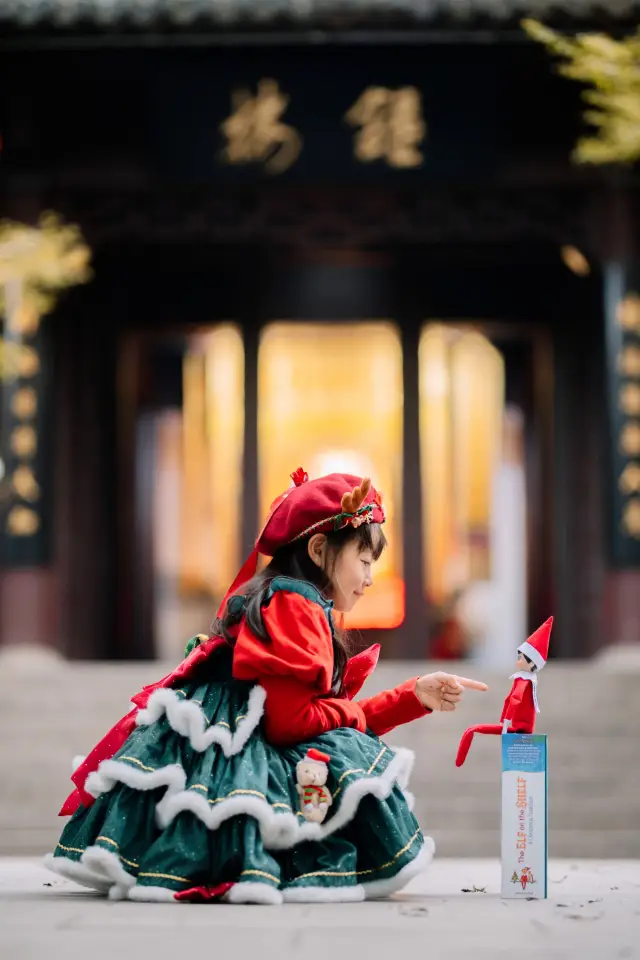 冬日浪漫｜棲霞賞楓+明星同款遛娃拍檔好絕