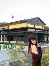 秋日童話 | 安吉山非山度假酒店2日遊攻略