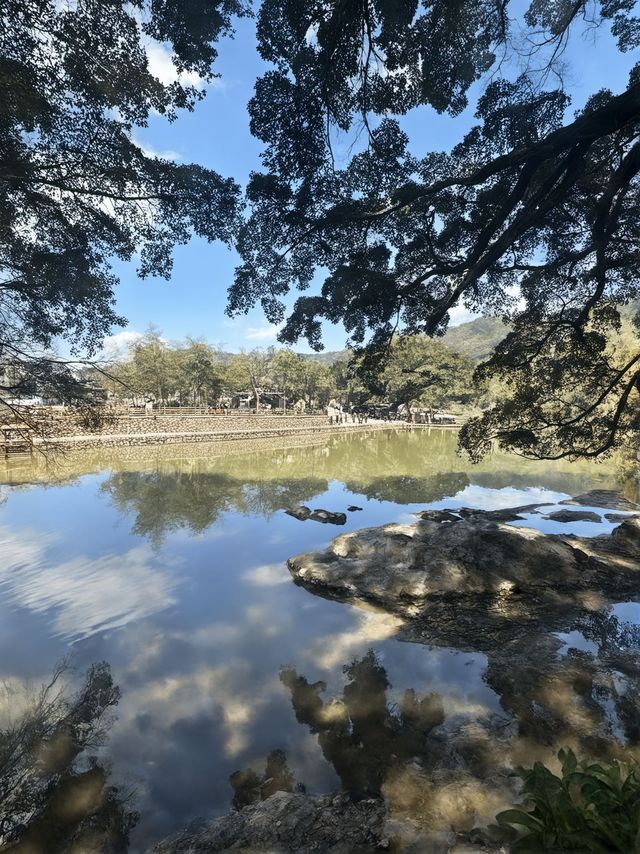 廈門1日包車遊 這些地方美到哭