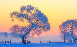 Winter Snow Play Ultimate Guide｜Must-Visit Spots in Northeast China + Xinjiang for Skiing/Frost Flowers/Blue Ice