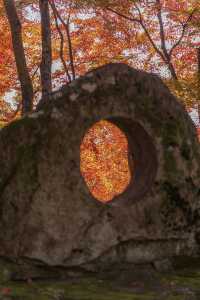 大山崎山莊美術館