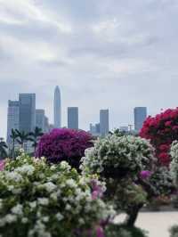 深圳必打卡|蓮花山公園保姆級攻略仰望偉人俯瞰城!