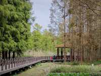 歡迎來旅遊打卡