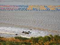 南澳島包車一日遊|被風吹傻但值得