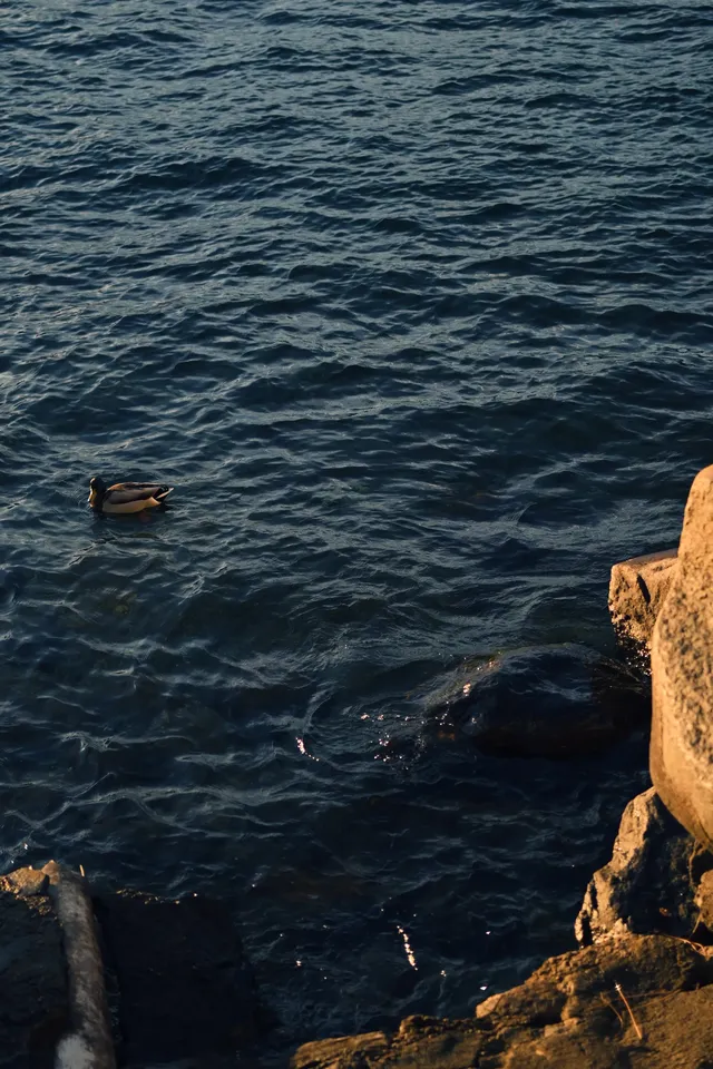 金色科莫湖|每一幀都是電影 金色科莫湖|每一幀都是電影