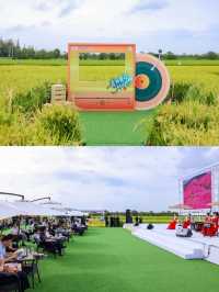 稻田音樂節打卡指南