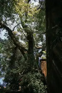 只因國清寺,去了一趟台州!(不自駕交通)