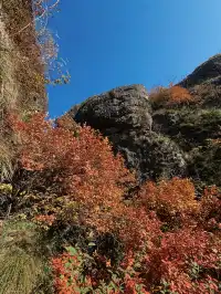 誰再說江浙滬沒「野」景我跟誰急!
