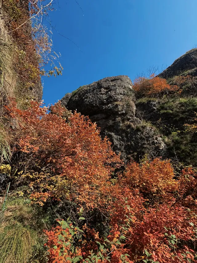 誰再說江浙滬沒「野」景我跟誰急! 誰再說江浙滬沒「野」景我跟誰急!