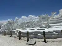 也是去了茶卡鹽湖～