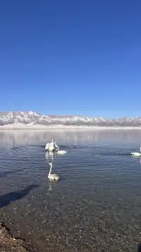 成都出發四天新疆伊犁之旅記錄(非特種兵