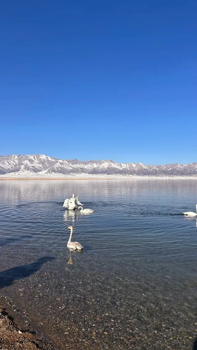 成都出發四天新疆伊犁之旅記錄(非特種兵 成都出發四天新疆伊犁之旅記錄(非特種兵