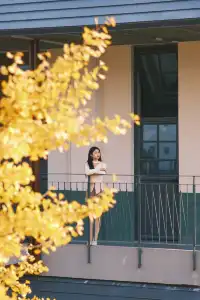 揚州蘇唱街|12月1日下午拍攝,這週得趕緊衝!