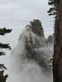 蕪湖黃山四日遊