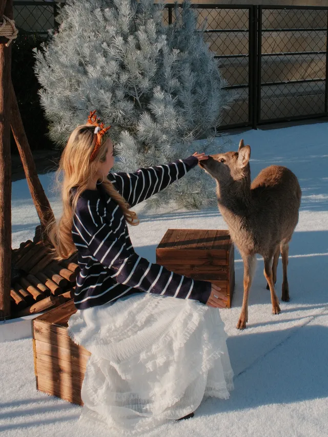 青島新晉拍照地！！聖誕一定要去的𓍯⋆𓏰