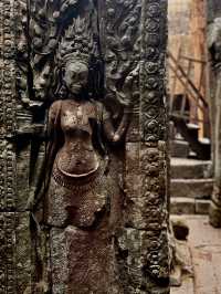 Апсары Ангкора