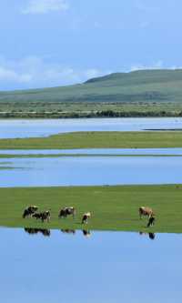 呼倫貝爾最美自駕線|走這一條路就夠了