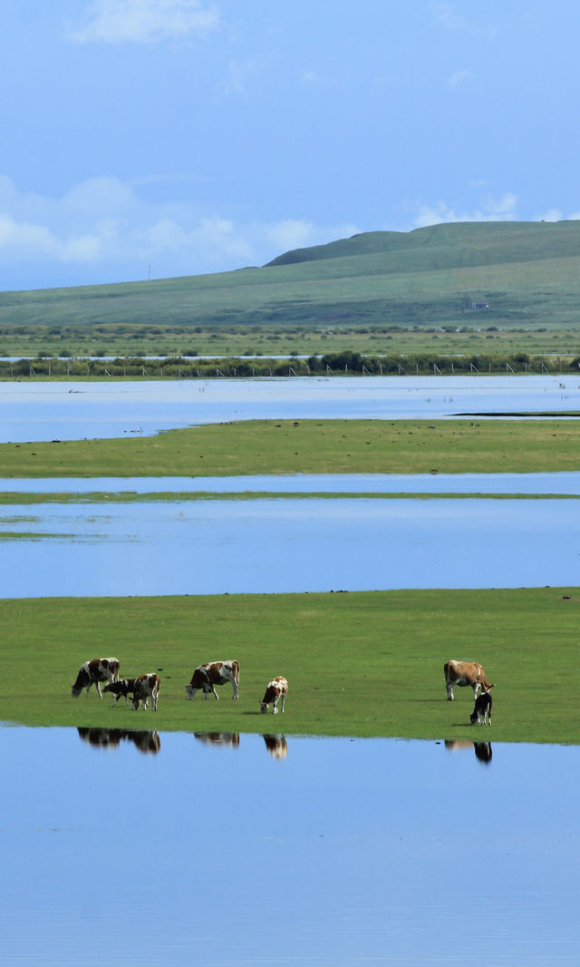 呼倫貝爾最美自駕線|走這一條路就夠了 呼倫貝爾最美自駕線|走這一條路就夠了