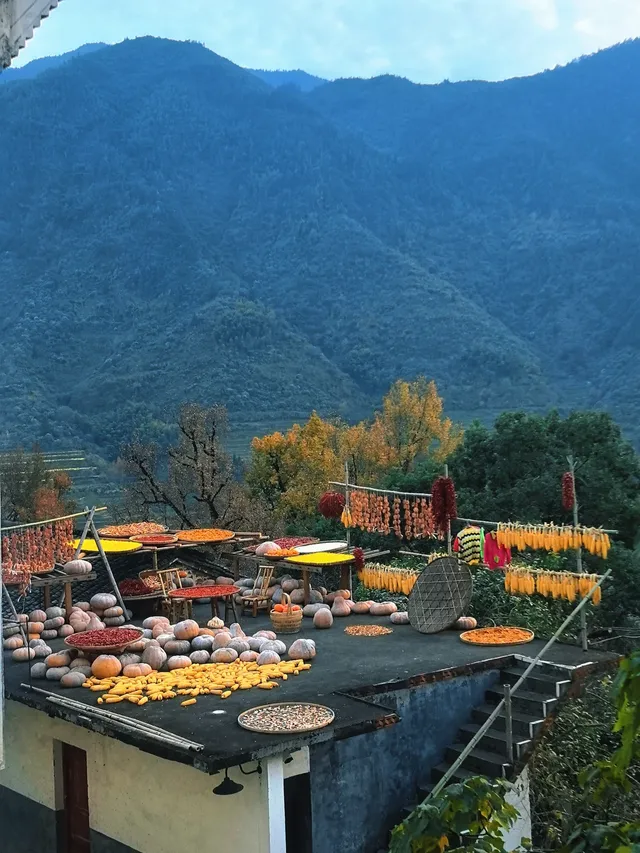 蕪湖～篁嶺自駕