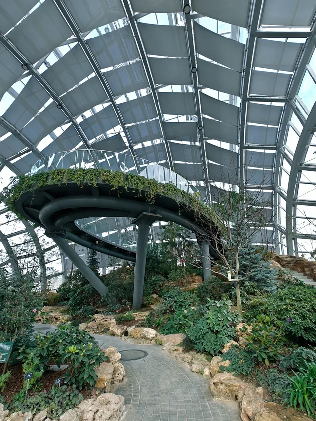 上海植物園一日遊 上海植物園一日遊