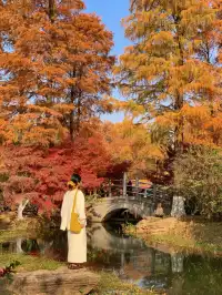 12.1武漢|現實版秋日莫內油畫~地鐵直達