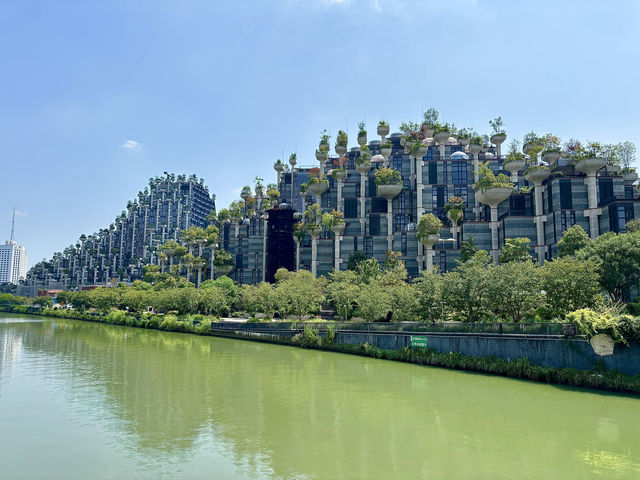 無懼秋老虎,打卡「千樹」之城,歷史的變遷,不定期更新 無懼秋老虎,打卡「千樹」之城,歷史的變遷,不定期更新