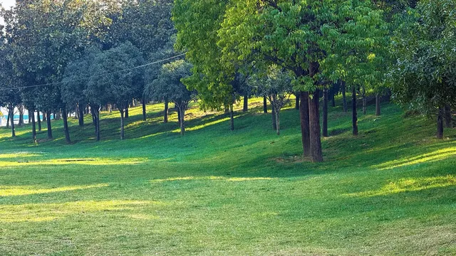 西安高新小森林 西安高新小森林