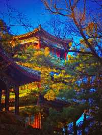 皇家禮遇與雪原牧歌的奇遇記