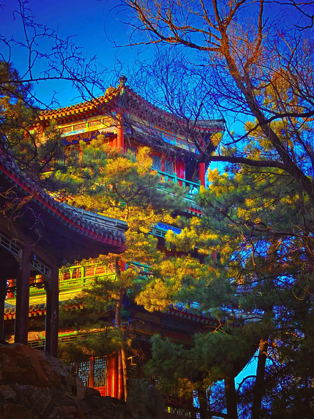 皇家禮遇與雪原牧歌的奇遇記 皇家禮遇與雪原牧歌的奇遇記