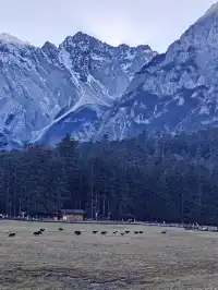 小小玉龍雪山,拿下!